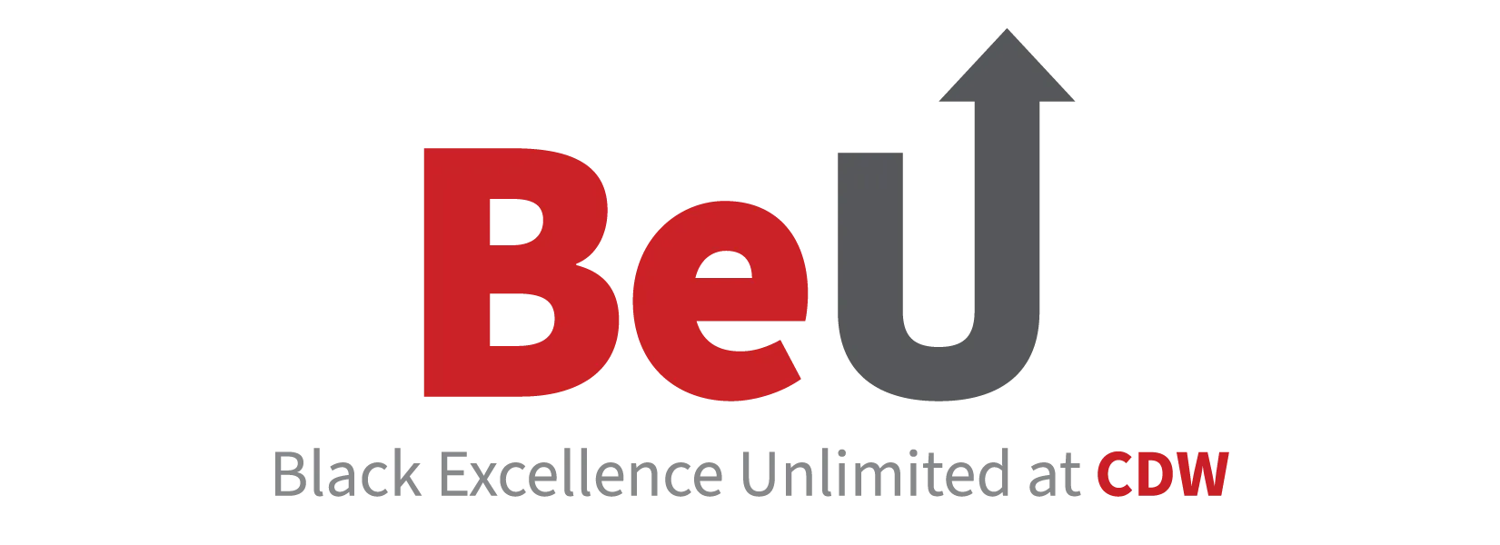 CDW - BeU 2024 Swag
