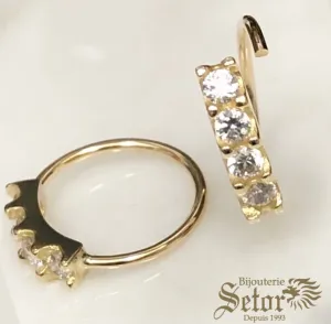Hoop nose ring