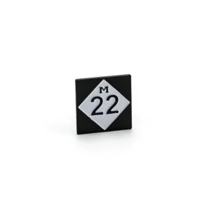 M22 LAPEL PIN