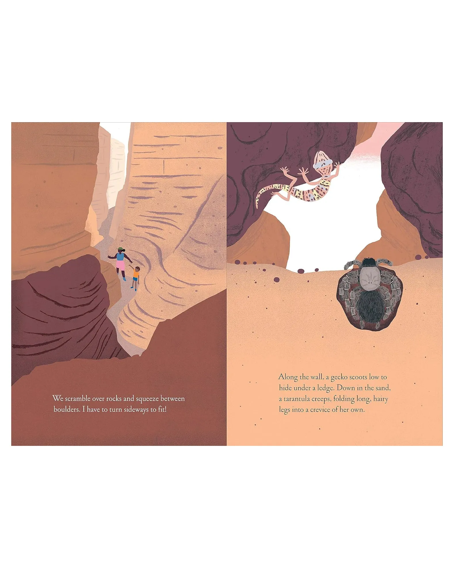 Over and Under the Canyon - Softcover