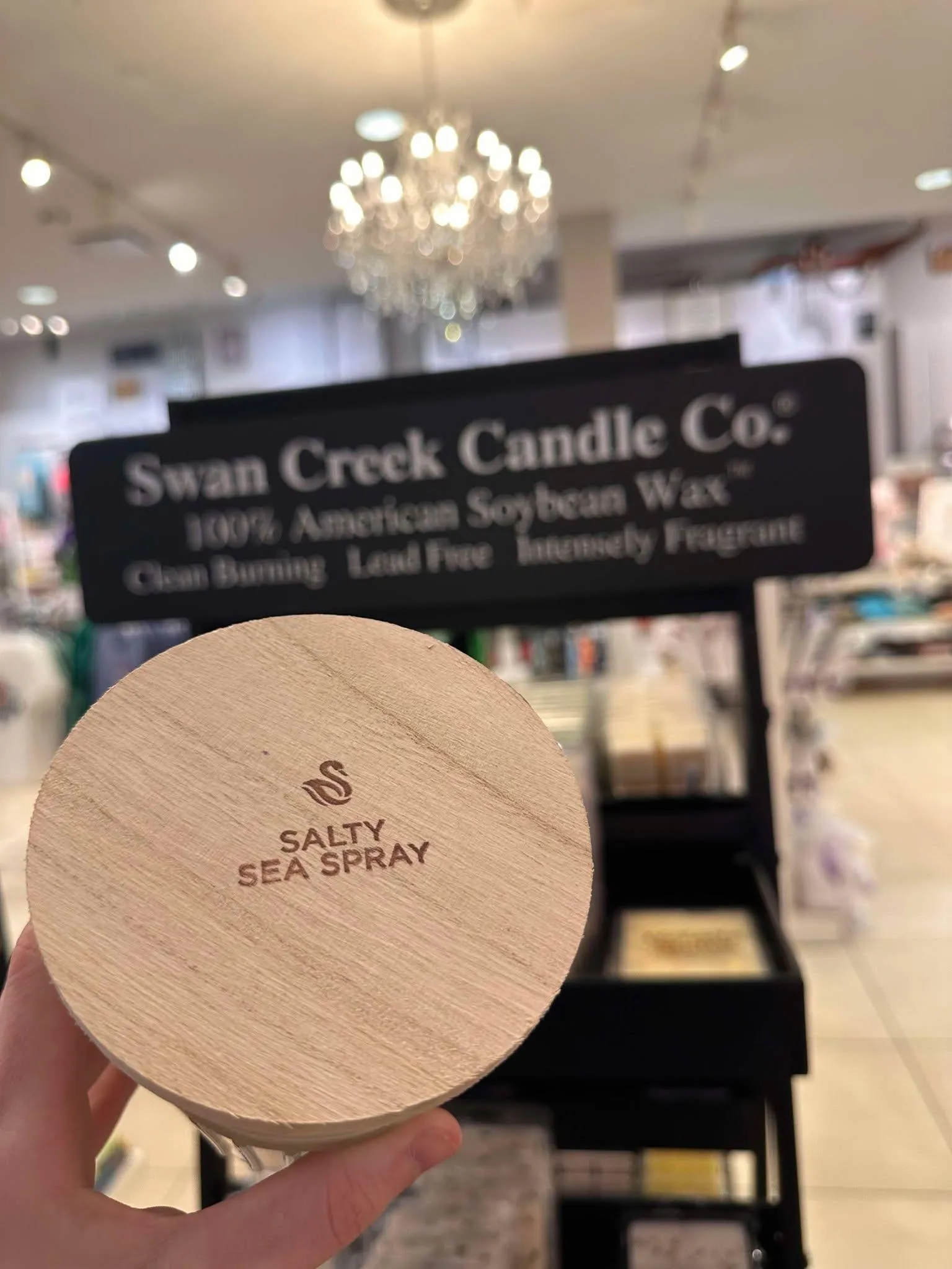 Swan Creek SALTY SEA SPRAY Timeless Jar Candle