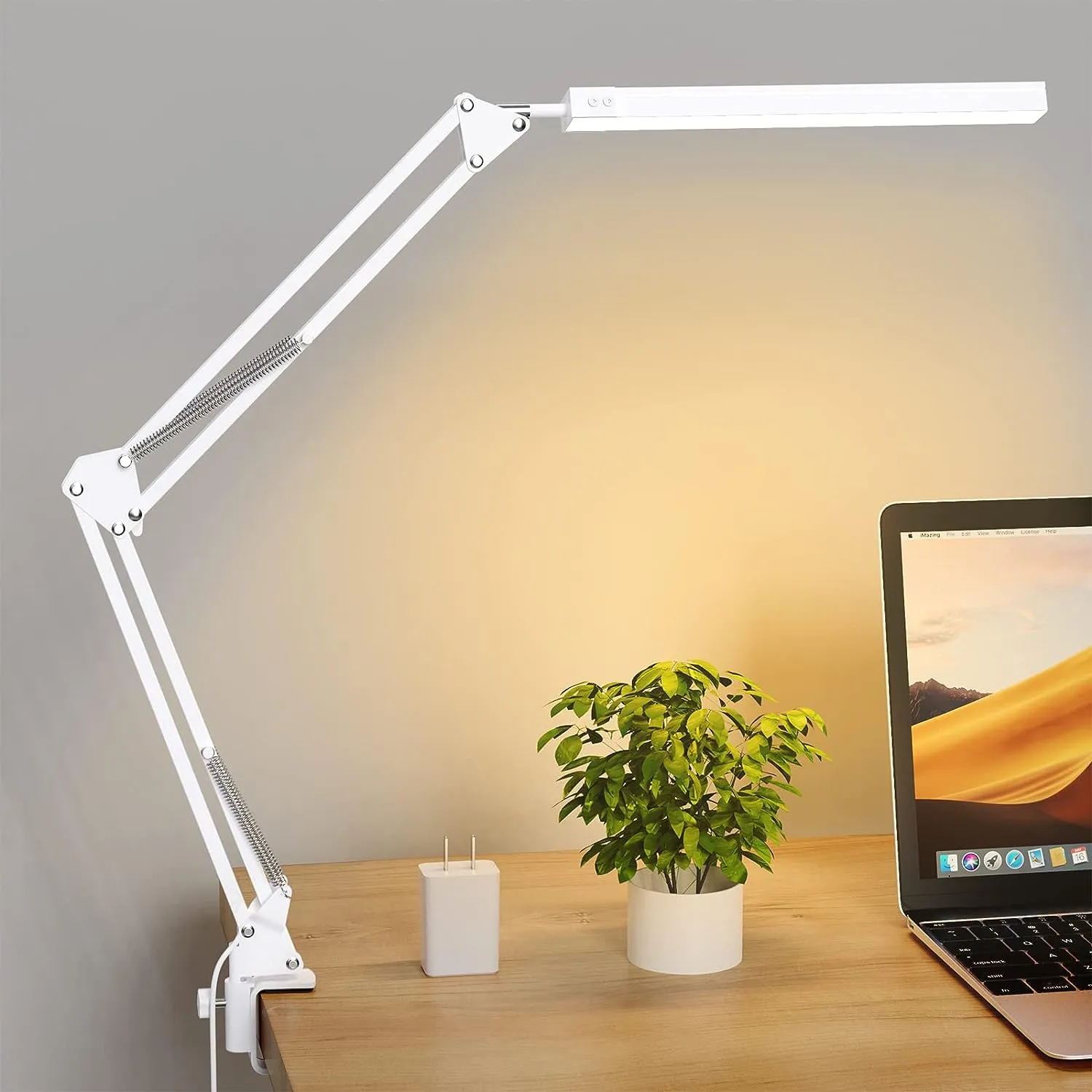 Swing Arm Desk Light With Clamp